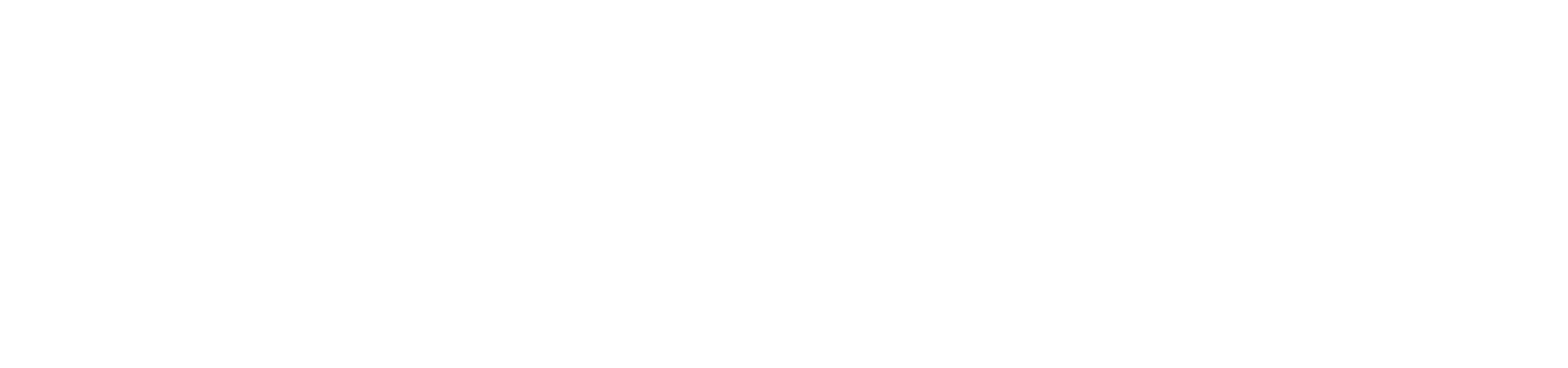 Nucleolenz